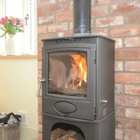 The Piglets ヨーク