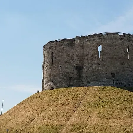 The Piglets 別荘 ヨーク