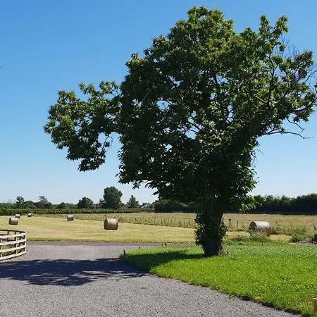 The Piglets Holiday home