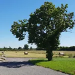 The Piglets Vakantiehuis