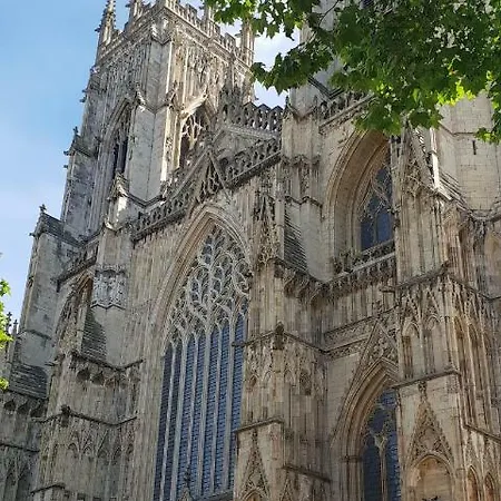 The Piglets Hébergement de vacances York